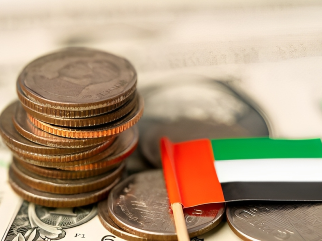 20230914202449_[fpdl.in]_stack-coins-with-united-arab-emirates-flag-white-background_39768-1727_normal (1)